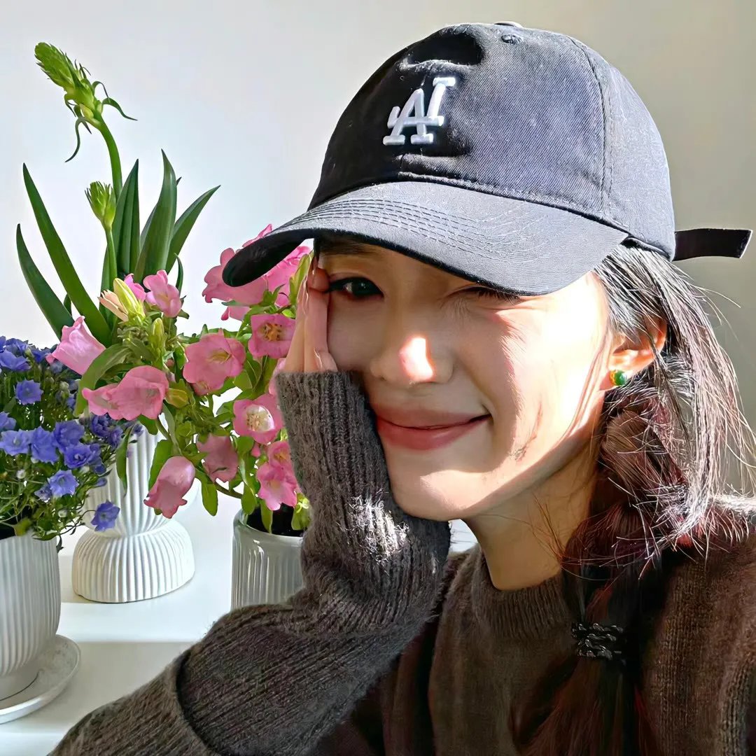 飞来艳福封面